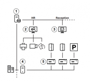 BOSCH A_AMSSMA1CLI- Licencia para servicio y  mantenimiento por 12 meses en AMS-XCLI-1V - Image 2