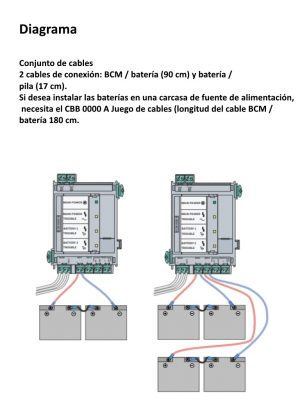 BOSCH F_CBB0000A - Juego de cables para bateria / BCM - Image 3