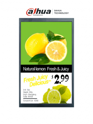 DAHUA DHI-ESL-L101-01 - Pantalla LCD de 10.1" para estantes ESL / Publicidad de video / Imagen a color 800*1280 / WiFi / Alimentada por carril DIN / RoHs / Operación 24-7 - Image 1