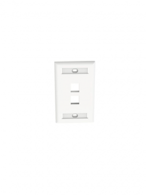 PANDUIT NK2FWHY - Faceplate de pared / 2 puertos / Color Blanco /La placa frontal NetKey™ es compatible con un módulo Keystone - Image 1