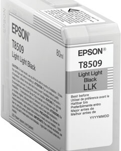 Cartucho EPSON T850900 - Negro