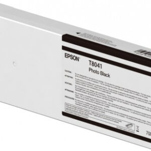 Cartucho EPSON T804100 - Foto negro