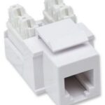 INTELLINET 210843 jack rj11 rj12 keystone de impacto blanco