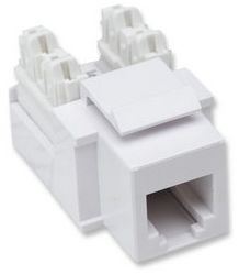 INTELLINET 210843 jack rj11 rj12 keystone de impacto blanco