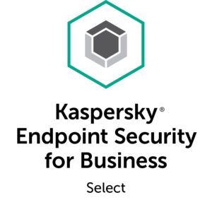Antivirus KASPERSKY Security for Business - 250-499 licencias, 1 Año(s)
