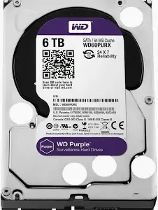 Disco duro New Pull 6 TB Purple