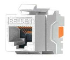Conector Jack RJ45 CAT6 BELDEN AX101320 - RJ-45, Blanco, Cat 6
