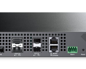 OLT TP-LINK DS-P7501-08 - Negro, 109, 2 W, 8 puertos