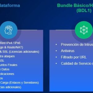 Bundle de Suscripciones Hillstone BDL1-A200-IN12 BASICO NGFW para A200 (12 meses)