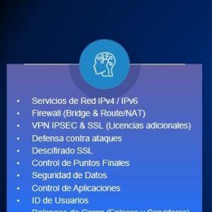 Servicepack Hillstone Adicional SGSV-A200-IN12U (12 meses)