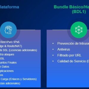 Bundle de Suscripciones Hillstone BDL1-A200-IN24 BASICO NGFW para A200 (24 meses)