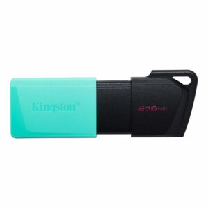 Kingston Technology DTXM/256GB Memoria usb kingston datatraveler exodia m 256gb 3.2 gen 1 retráctil