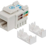 INTELLINET 210355 jack cat 5e de impacto (keystone) blanco