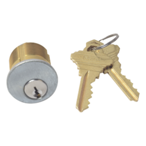 RCI - DORMAKABA 96CYLKA – Switch de Control Manual / 6 a 125 VCA / Contacto NO/NC / 2 Llaves Incluidas / Montaje en Placa