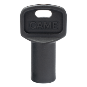 CAME 119-RIY077 – Llaves de Repuesto / 10 Piezas / Triangulares Negras / Compatible KTSBLX-AXO