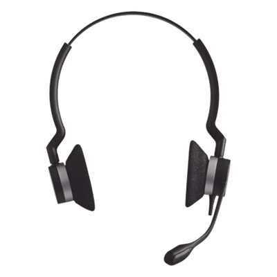 BIZ-2300-DUO-QD