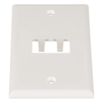 PANDUIT CFP2IW – Placa de Pared Vertical / 2 Puertos Mini-Com / 69.8 x 114.3 mm / 2.75 x 4.5 pulg. / Blanco Mate / ABS