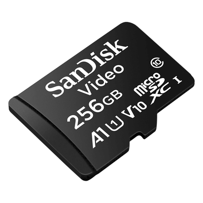 SDSDQAS5-256G-BP