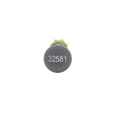 32581