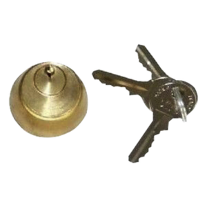 FAAC 712651003 – Cilindro interno / Electrochapa No. 3 / 2 llaves / Control de acceso