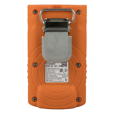 PM100-H2S