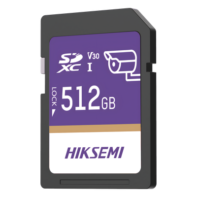 HS-SD-P10/512G/GUARDPRO