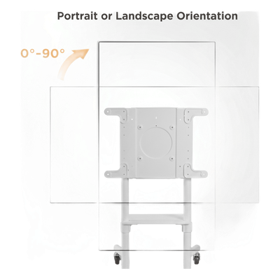 TTV1146TW