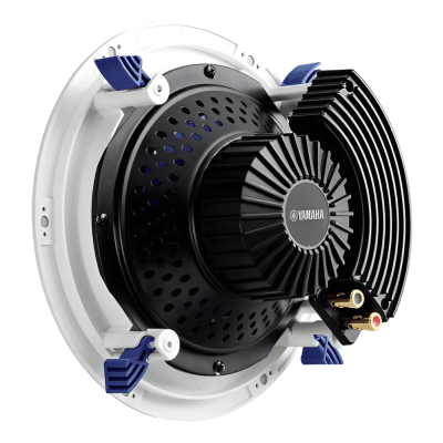 NS-IC800W