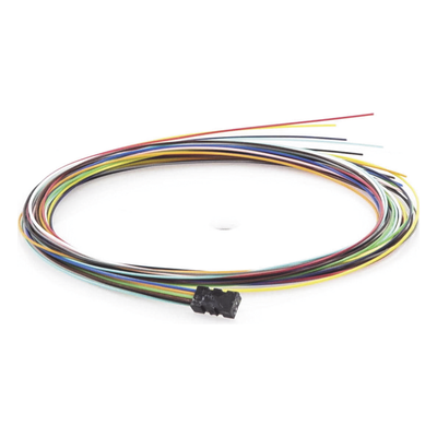 LPFO610012C