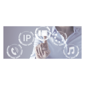 EGI AUDIO SOLUTIONS 1810 – Software de Gestión IP / Supervisión Periódica / Detección Automática / Control Multi-Dispositivo / Interfaz Centralizada