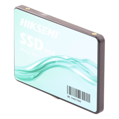 HS-SSD-WAVE(S)/256G