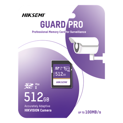 HS-SD-P10/512G/GUARDPRO