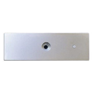 ACCESSPRO MAG1200PLATE – Refacción: Placa para chapa magnética MAG1200, MAG1200LED , No incluye tornilleria