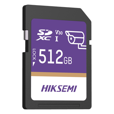 HS-SD-P10/512G/GUARDPRO