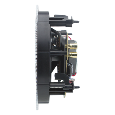 PP-6