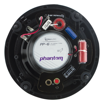 PP-6