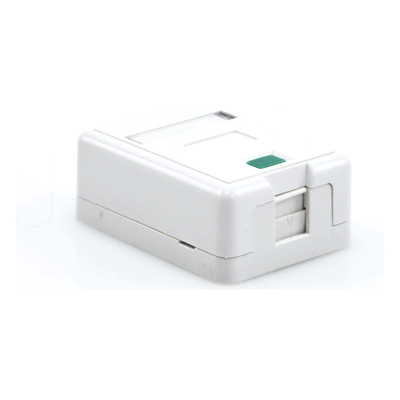 LP-WP-05
