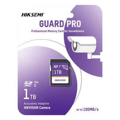 HS-SD-P10/1TB/GUARDPRO