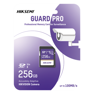 HS-SD-P10/256G/GUARDPRO